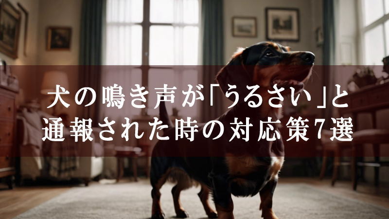 犬の鳴き声が「うるさい」と通報された時の対応策7選！