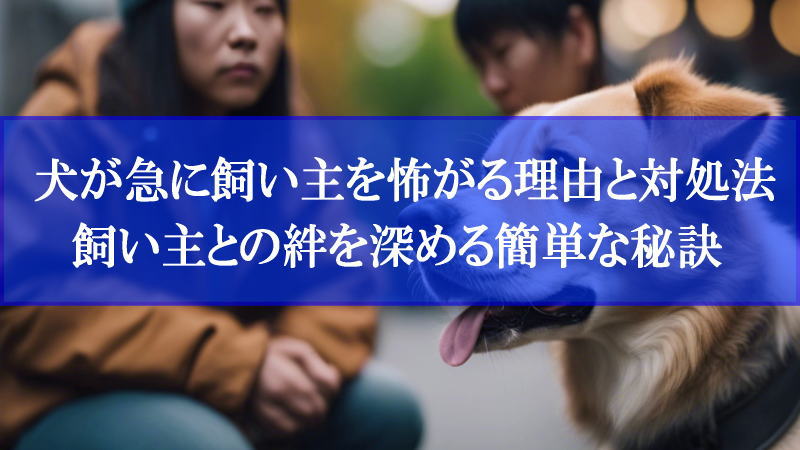 犬が急に飼い主を怖がる理由と対処法！飼い主との絆を深める簡単な秘訣