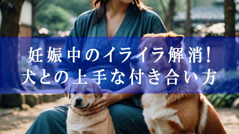 妊娠中のイライラ解消!犬との上手な付き合い方とは？