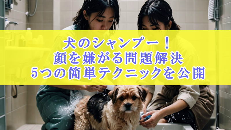 犬のシャンプー・顔を嫌がる問題解決！5つの簡単テクニックとは？