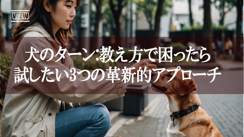 犬のターン：教え方で困ったら試したい3つの革新的アプローチ