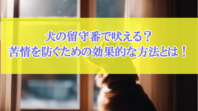 犬の留守番で吠える？苦情を防ぐための効果的な方法とは！