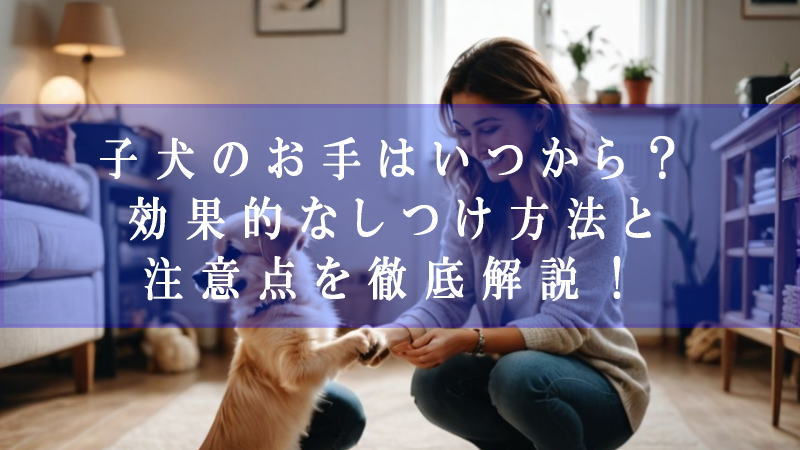 子犬のお手はいつから？効果的なしつけ方法と注意点を徹底解説！