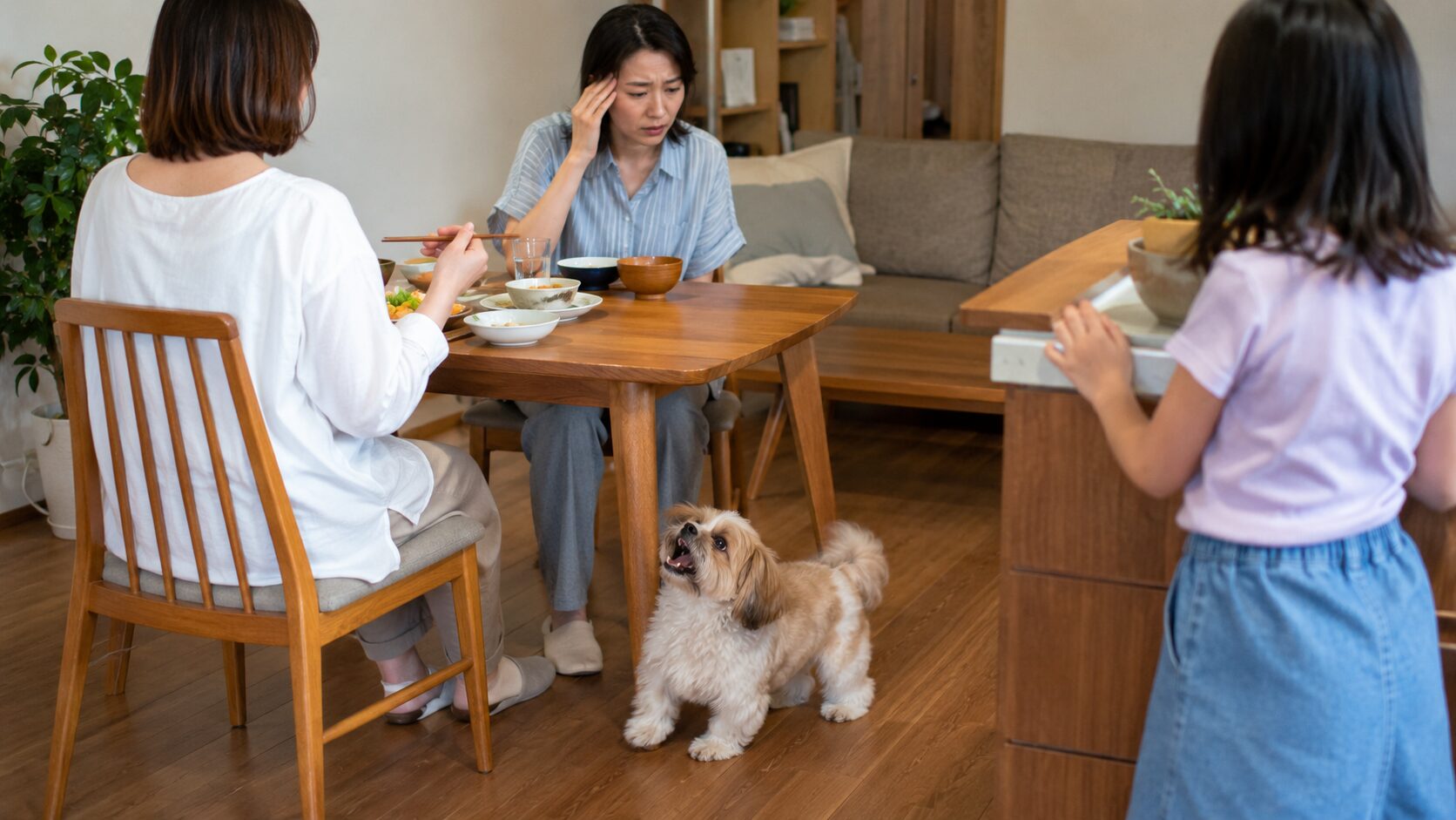 食事中に足元で吠える小型犬に困る飼い主の女性