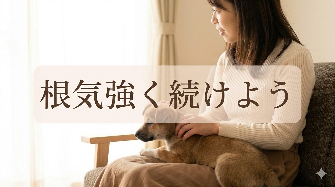 まとめ：犬がトイレを覚えない悩みもイライラせず根気強く続けよう