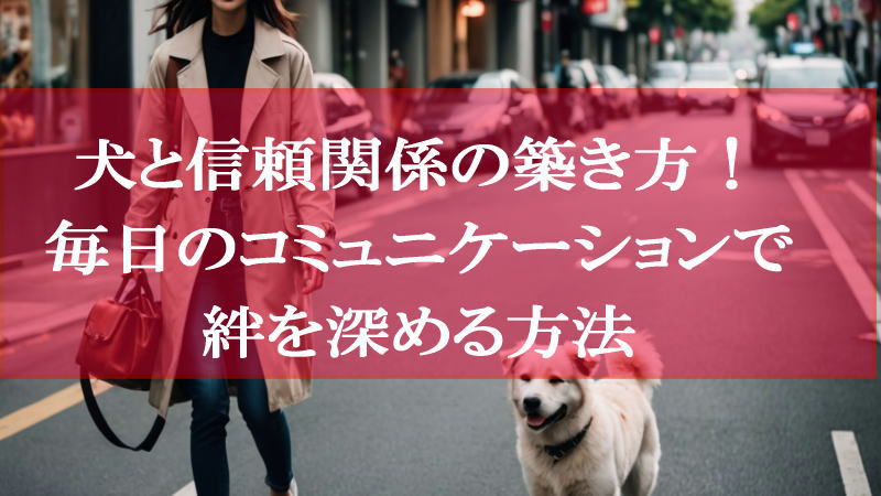 犬と信頼関係の築き方！毎日のコミュニケーションで絆を深める方法