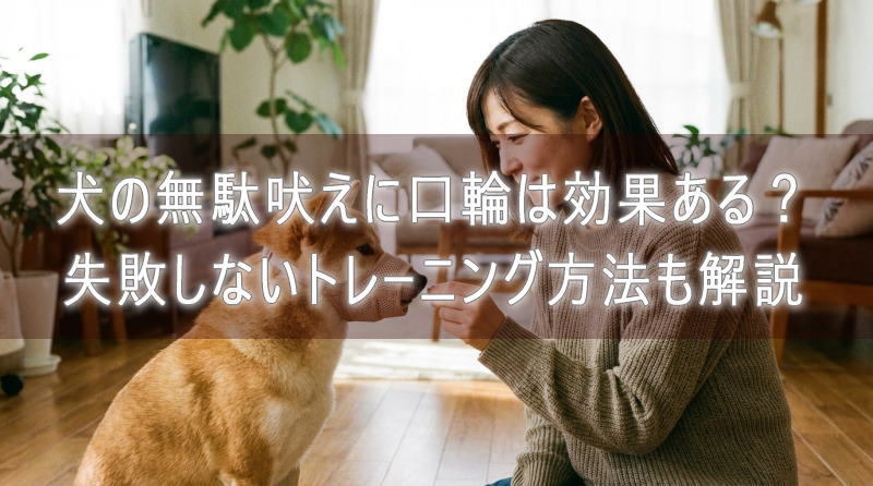 犬の無駄吠えに口輪は効果ある？失敗しないトレーニング方法も解説
