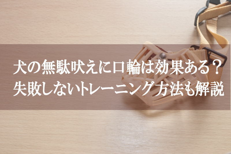 犬の無駄吠えに口輪は効果ある？失敗しないトレーニング方法も解説