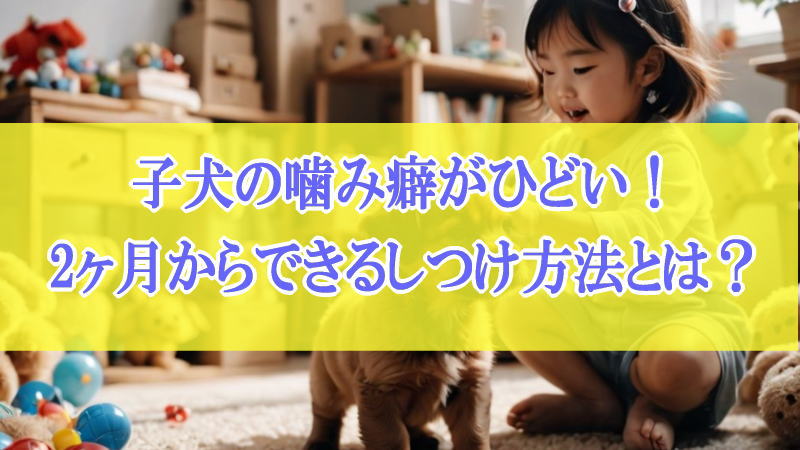 子犬の噛み癖がひどい！2ヶ月からできるしつけ方法とは？