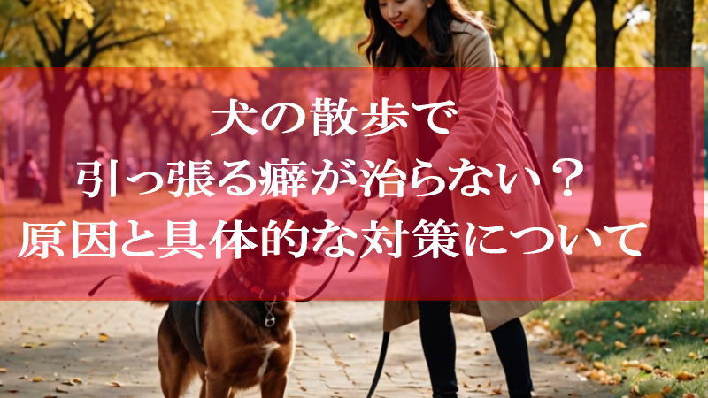 犬の散歩で引っ張る癖が治らない？原因と具体的な対策を徹底解説！