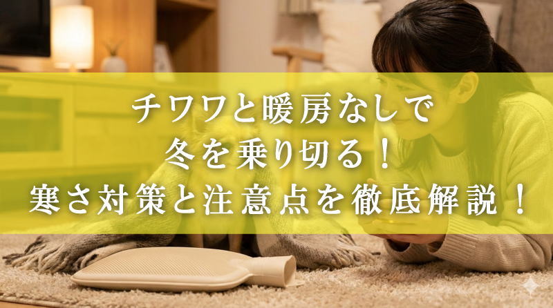 チワワと暖房なしで冬を乗り切る！寒さ対策と注意点を徹底解説！
