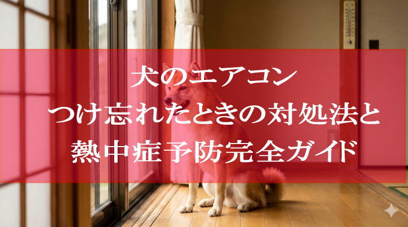 犬のエアコンつけ忘れたときの対処法と熱中症予防完全ガイド