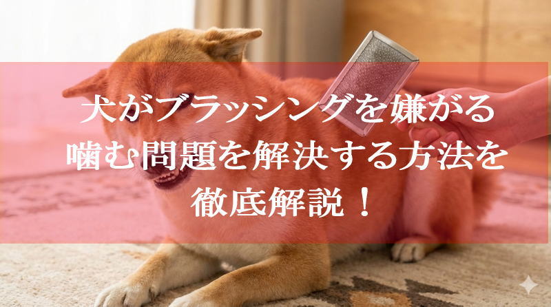 犬がブラッシングを嫌がる・噛む問題を解決する方法を徹底解説！