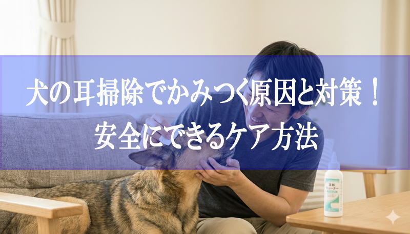 犬の耳掃除でかみつく原因と対策！安全にできるケア方法