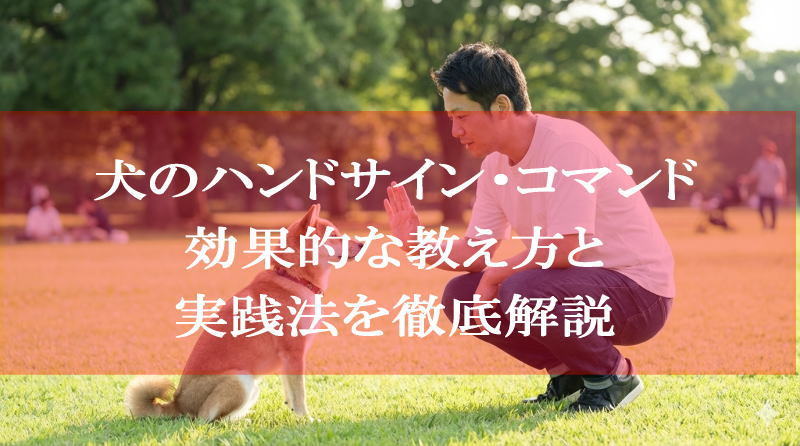 犬のハンドサイン・コマンド！効果的な教え方と実践法を徹底解説