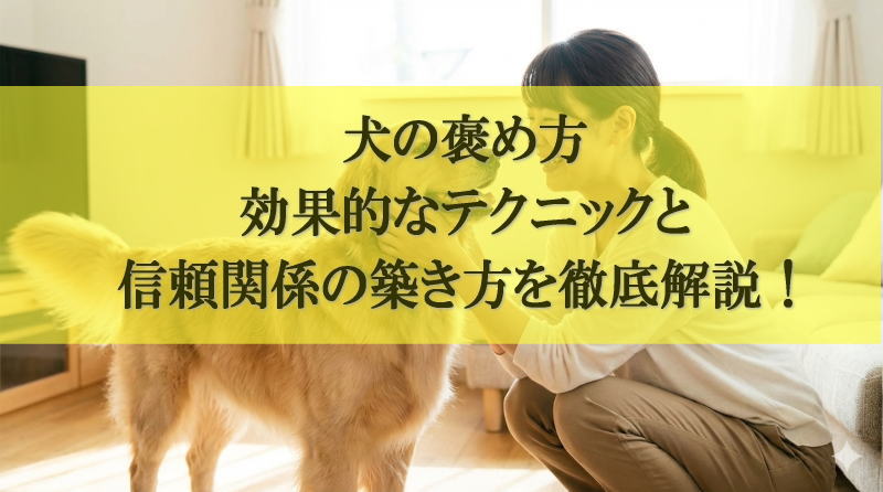 犬の褒め方：効果的なテクニックと信頼関係の築き方を徹底解説！