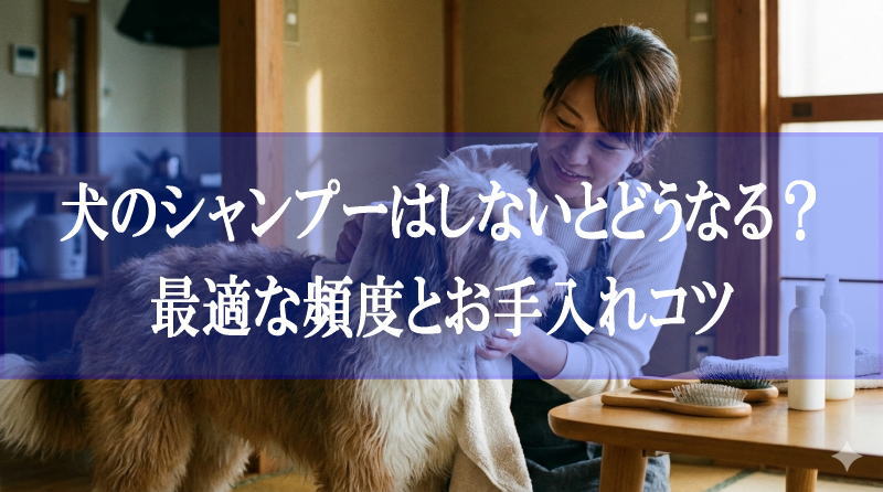 犬のシャンプーはしないとどうなる？最適な頻度とお手入れコツ