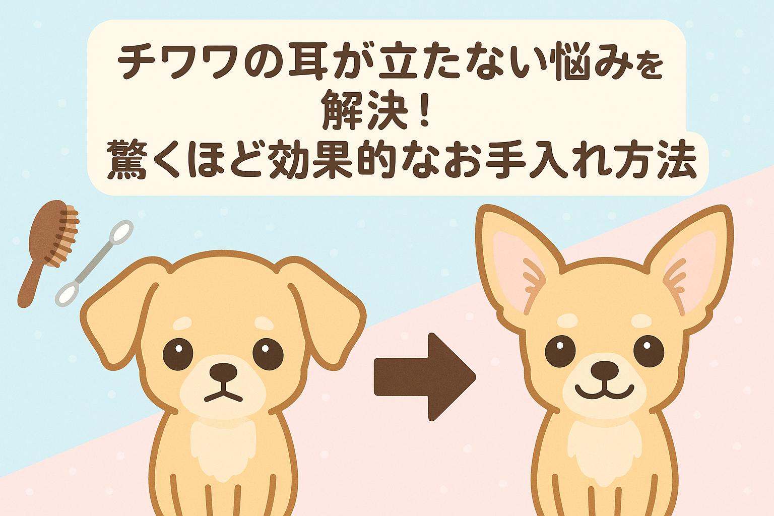 チワワの耳が立たない悩みを解決！驚くほど効果的なお手入れ方法