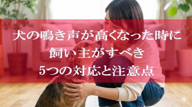 犬の鳴き声が高くなった時に飼い主がすべき5つの対応と注意点