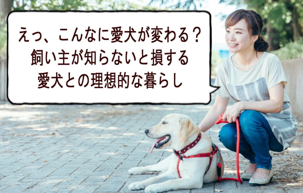 夜泣きに悩み愛犬と向き合う若い飼い主の様子