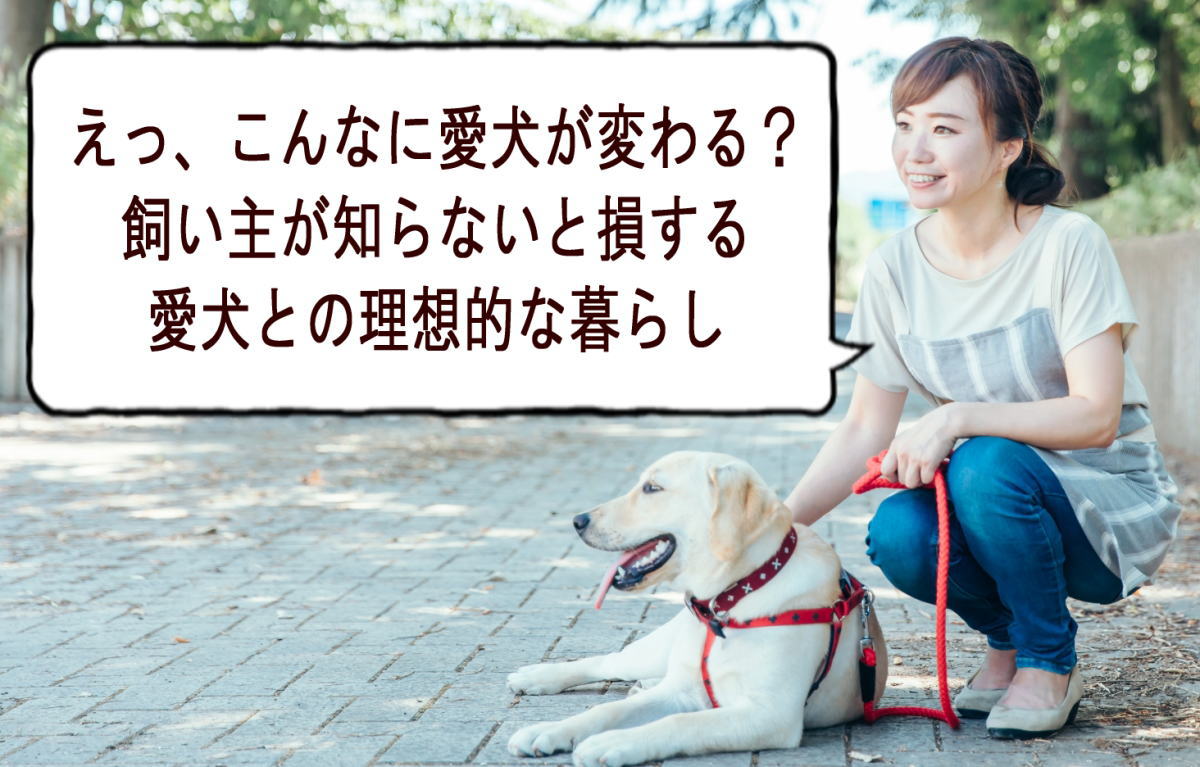 えっ、こんなに愛犬が変わる？飼い主が知らないと損する愛犬との理想的な暮らし