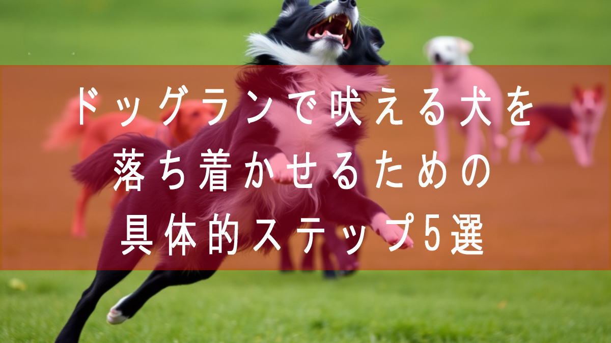 ドッグランで吠える犬を落ち着かせるための具体的ステップ5選