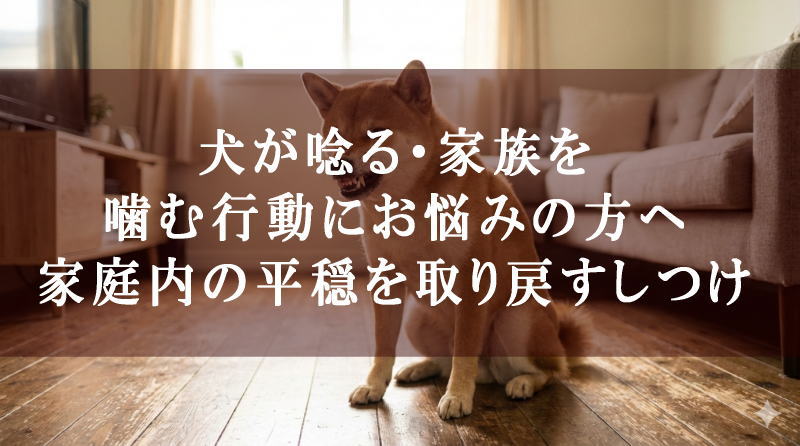 犬が唸る・家族を噛む行動にお悩みの方へ｜家庭内の平穏を取り戻すしつけ