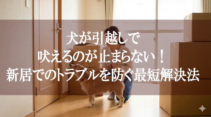 犬が引越しで吠えるのが止まらない！新居でのトラブルを防ぐ最短解決法