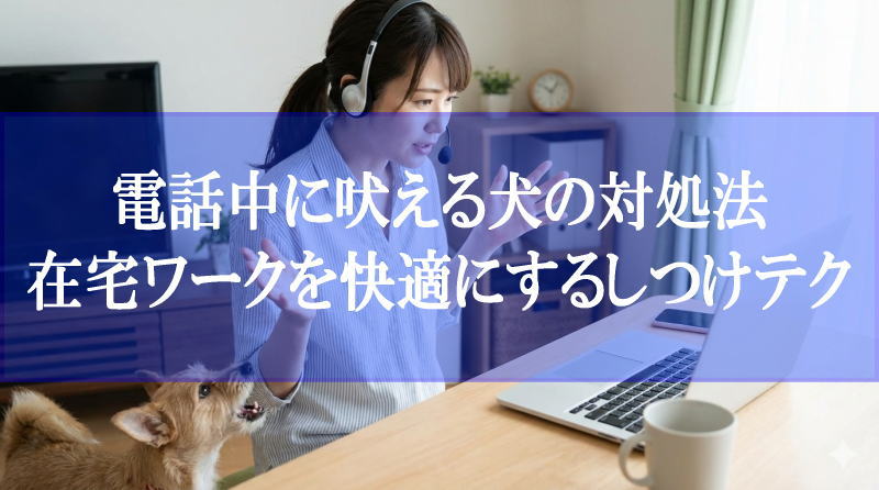 犬が電話中に吠えるのをやめさせる！在宅ワークを邪魔させないプロの策