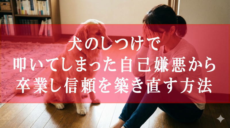 犬のしつけで叩いてしまった自己嫌悪から卒業し信頼を築き直す方法