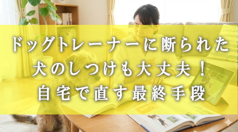 ドッグトレーナーに断られた犬のしつけも大丈夫！自宅で直す最終手段