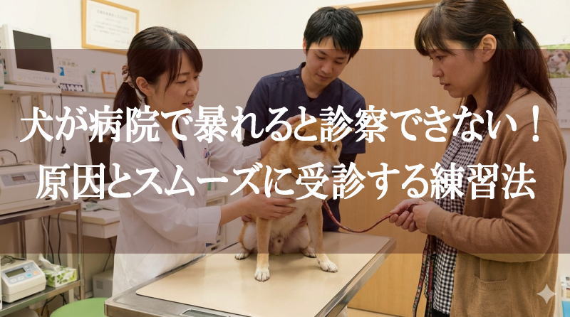 犬が病院で暴れると診察できない！原因とスムーズに受診する練習法