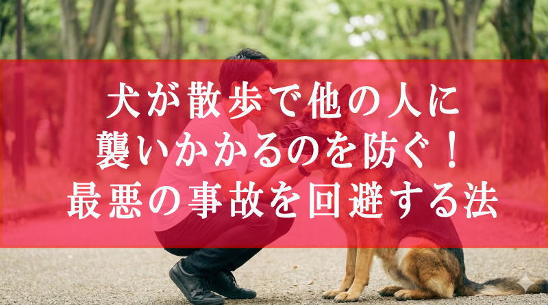 犬が散歩で他の人に襲いかかるのを防ぐ！最悪の事故を回避する法