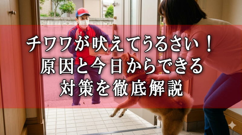 犬が宅急便に吠えるし襲いかかる！玄関先での重大事故を未然に防ぐ方法