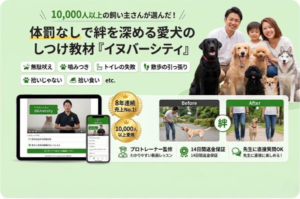 イヌバーシティ
