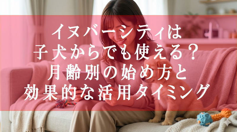 イヌバーシティは子犬からでも使える？月齢別の始め方と効果的な活用タイミング