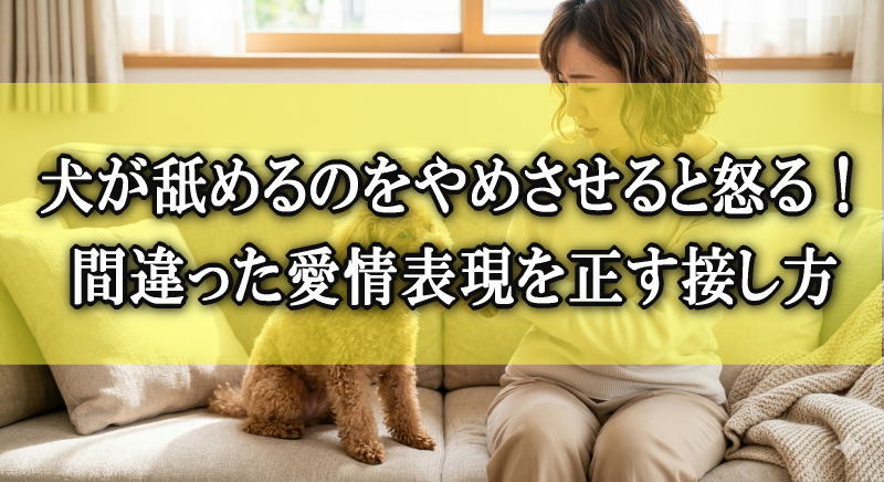 犬が舐めるのをやめさせると怒る！間違った愛情表現を正す接し方