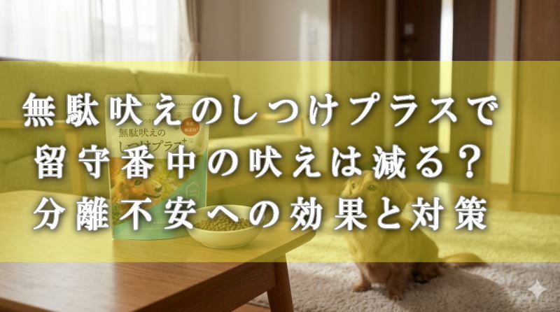 無駄吠えのしつけプラスで留守番中の吠えは減る？分離不安への効果と対策