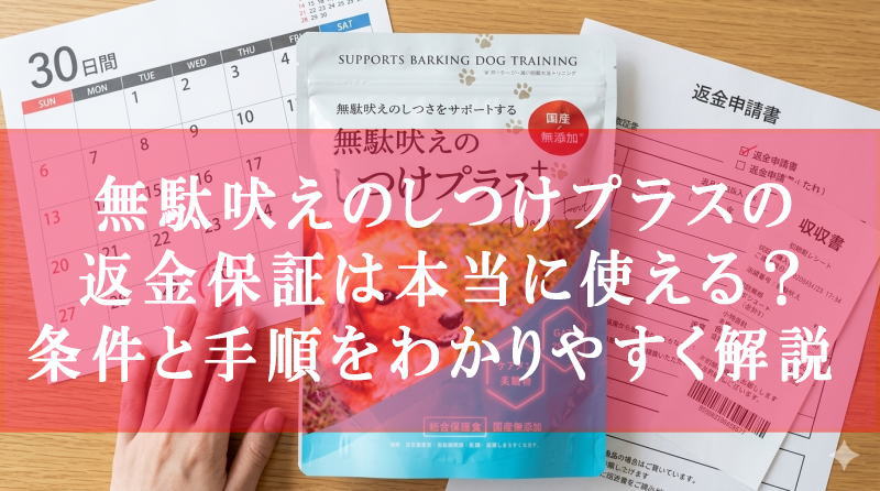 無駄吠えのしつけプラスの返金保証は本当に使える？条件と手順をわかりやすく解説