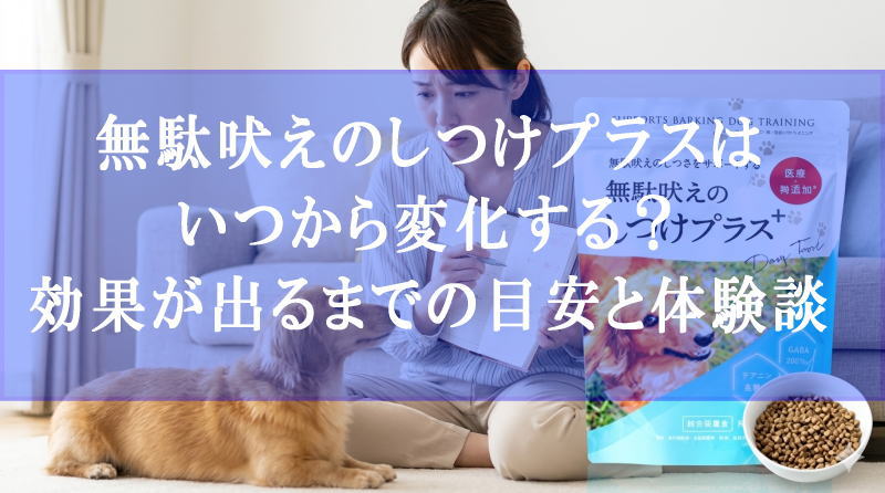 無駄吠えのしつけプラスはいつから変化する？効果が出るまでの目安と体験談