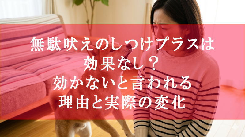 無駄吠えのしつけプラスは効果なし？効かないと言われる理由と実際の変化