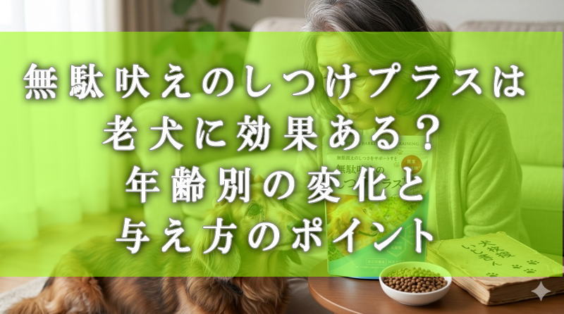 無駄吠えのしつけプラスは老犬に効果ある？年齢別の変化と与え方のポイント