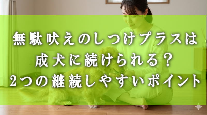 無駄吠えのしつけプラスは成犬に続けられる？2つの継続しやすいポイントを解説
