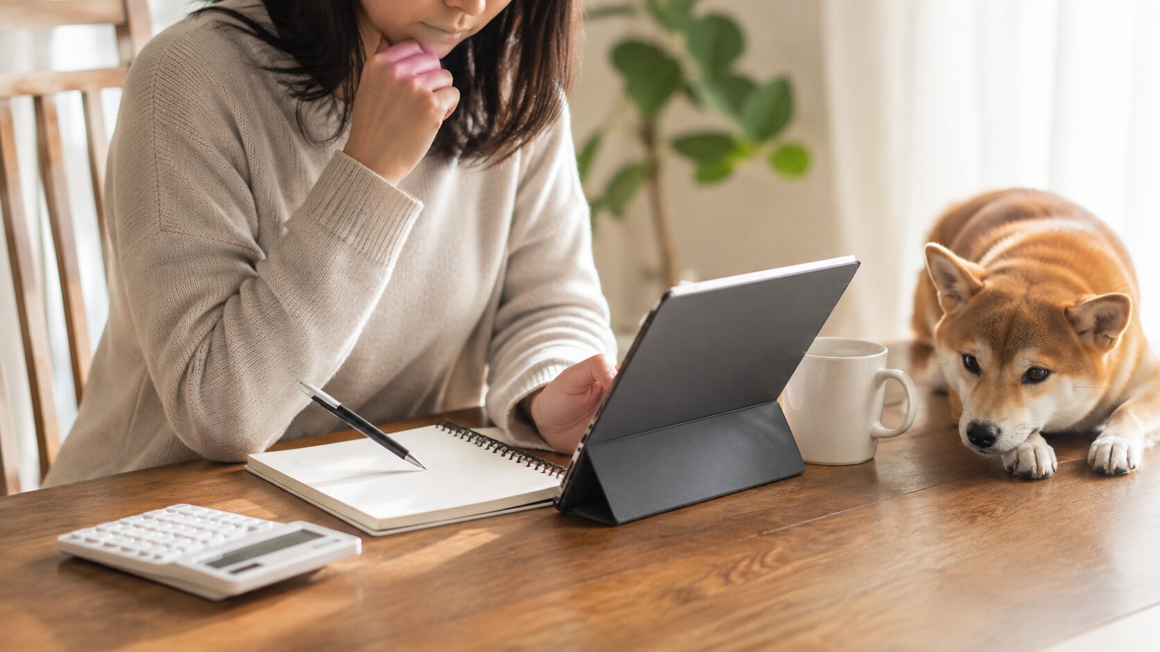 犬 トレーナー 相談 費用をタブレットとノートで比較検討する女性の手元